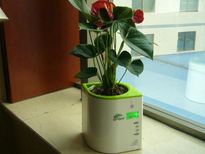 智能花盆——让家中花草更加健康成长