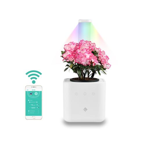 智能花盆——让家中花草更加健康成长