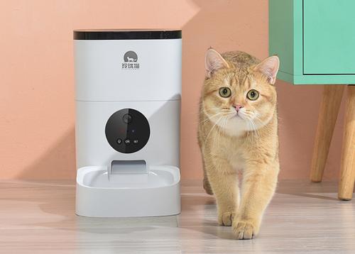克隆猫智能喂食器：让宠物随时吃到新鲜食物