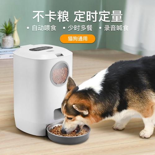 克隆猫智能喂食器：让宠物随时吃到新鲜食物
