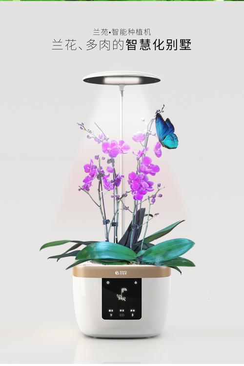 智能居家神器：智能花盆