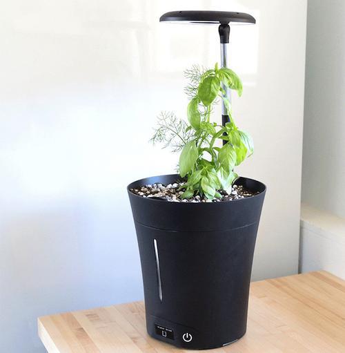 智能花盆：让你的植物健康生长
