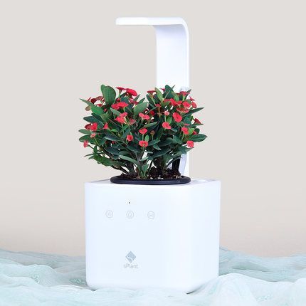 智能花盆-让你的家变成花园