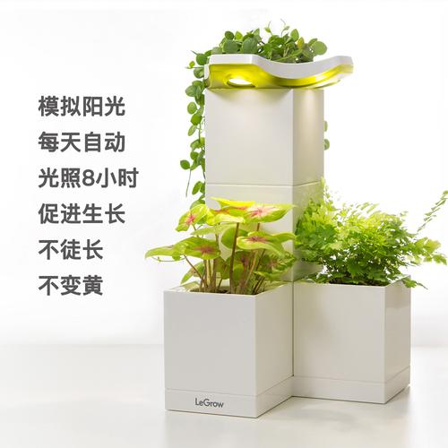 智能花盆：让植物的生长更智能