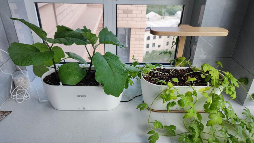 智能花盆：打造智能家居中的绿色角落