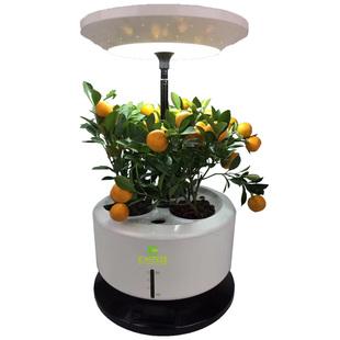 智能花盆——让植物更健康