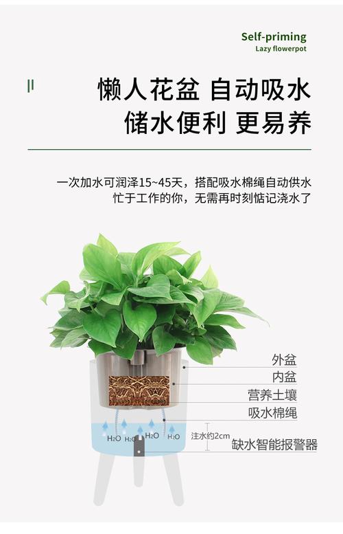 智能花盆——让植物更健康