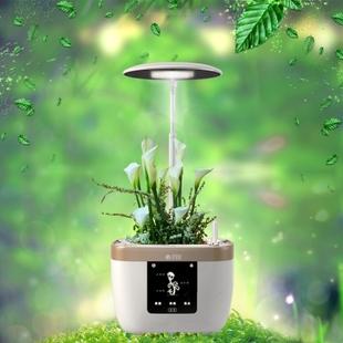 智能花盆：为你的家庭添上一份绿色