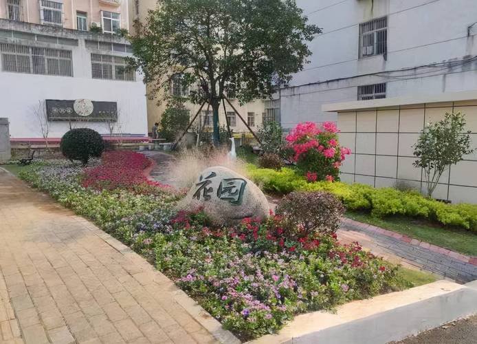 智能口袋花园：将自然带回家