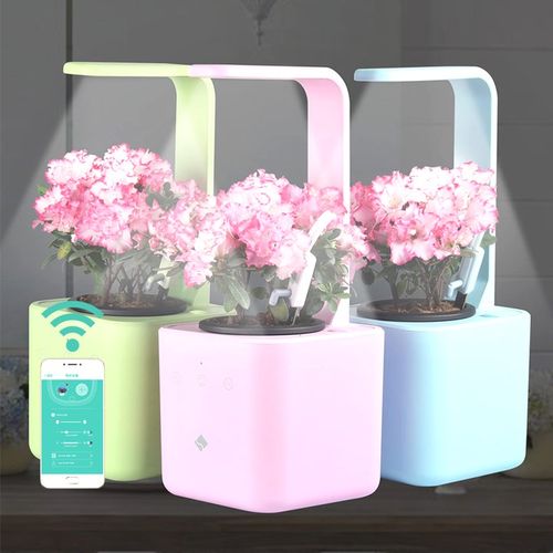 智能居家产品——智能家居垃圾分类花盆