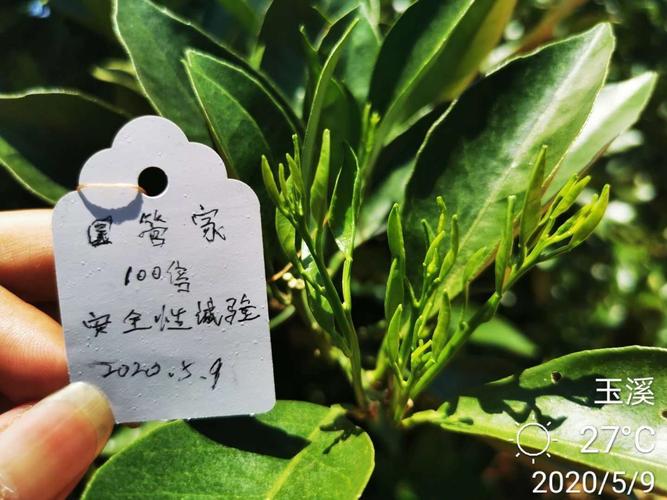 智能花草管家-为您的植物提供全方位的呵护