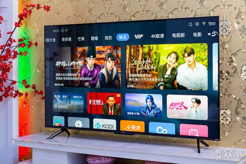 智能居家产品-智能声控电视