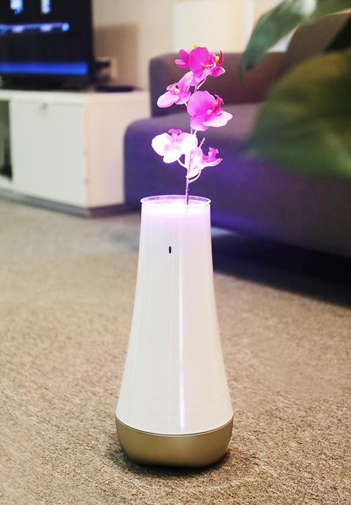 智能居家产品：智能温控花瓶