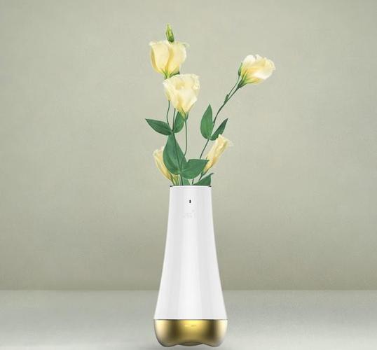 智能居家产品：智能温控花瓶