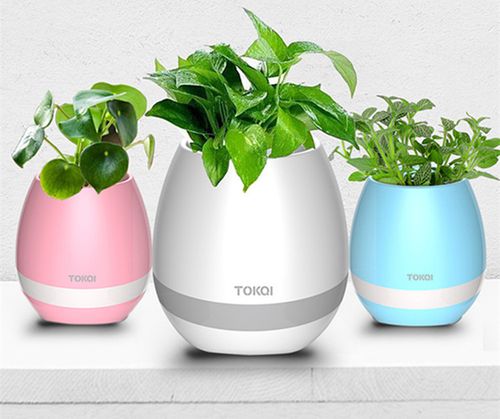 智能居家产品：智能温控花瓶