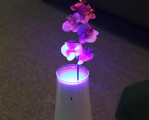 智能居家产品：智能温控花瓶