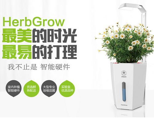 智能家居花盆——“绿拇指”