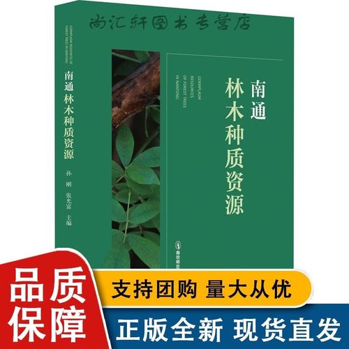 创新品牌：林木艺术