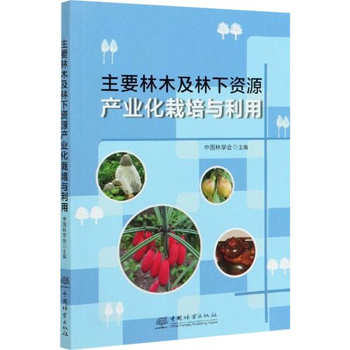 创新品牌：林木艺术