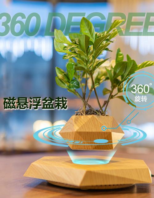 创意家具：迷你无重力悬浮花盆