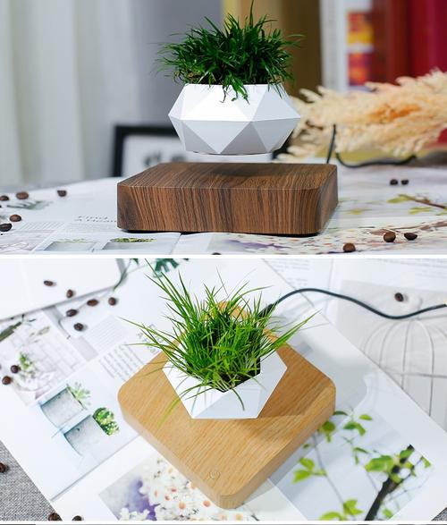 创意家具：迷你无重力悬浮花盆
