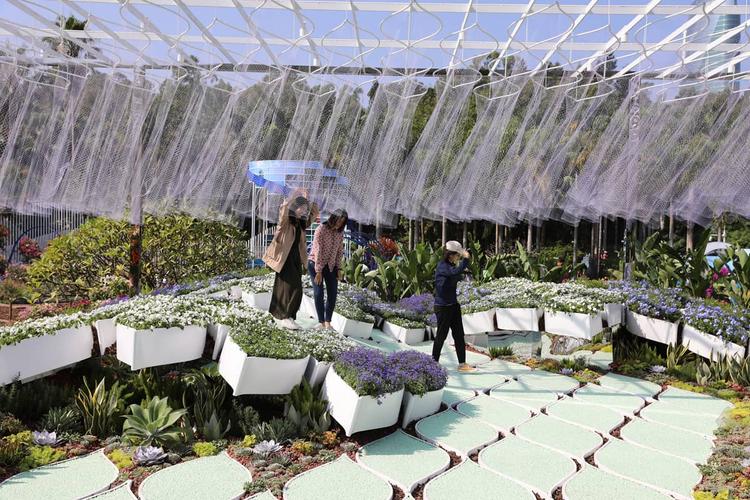 梦幻之境：全新智能悬浮花园装置