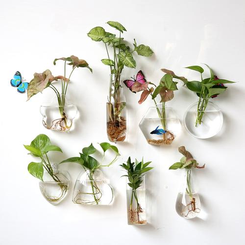 创新家具产品：艺术玻璃悬挂花盆