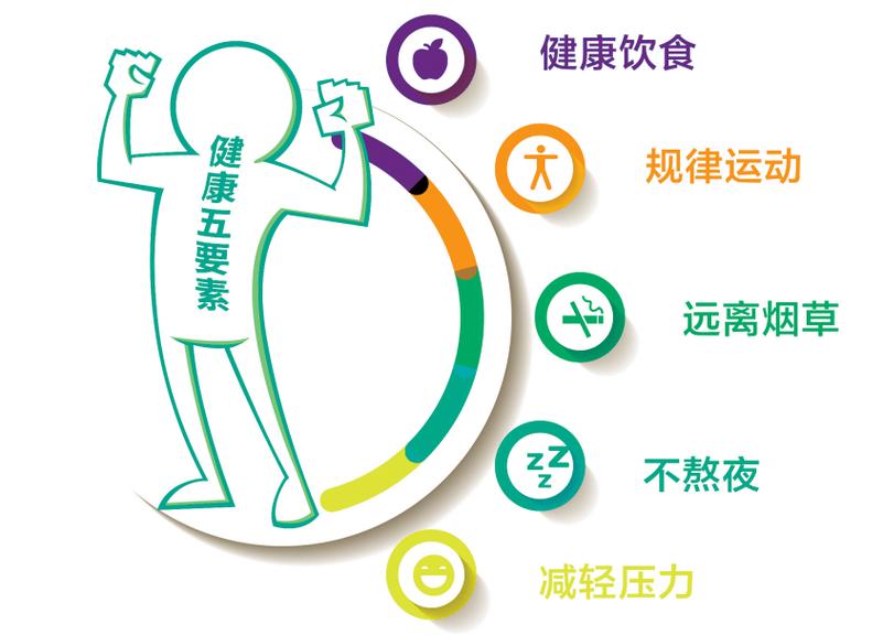 打造高效、快乐、健康生活的必备产品