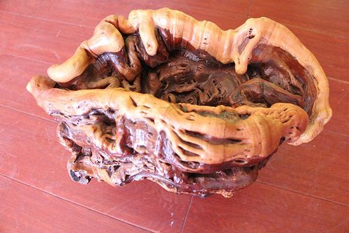 迷人的木制手工艺品——天然之美