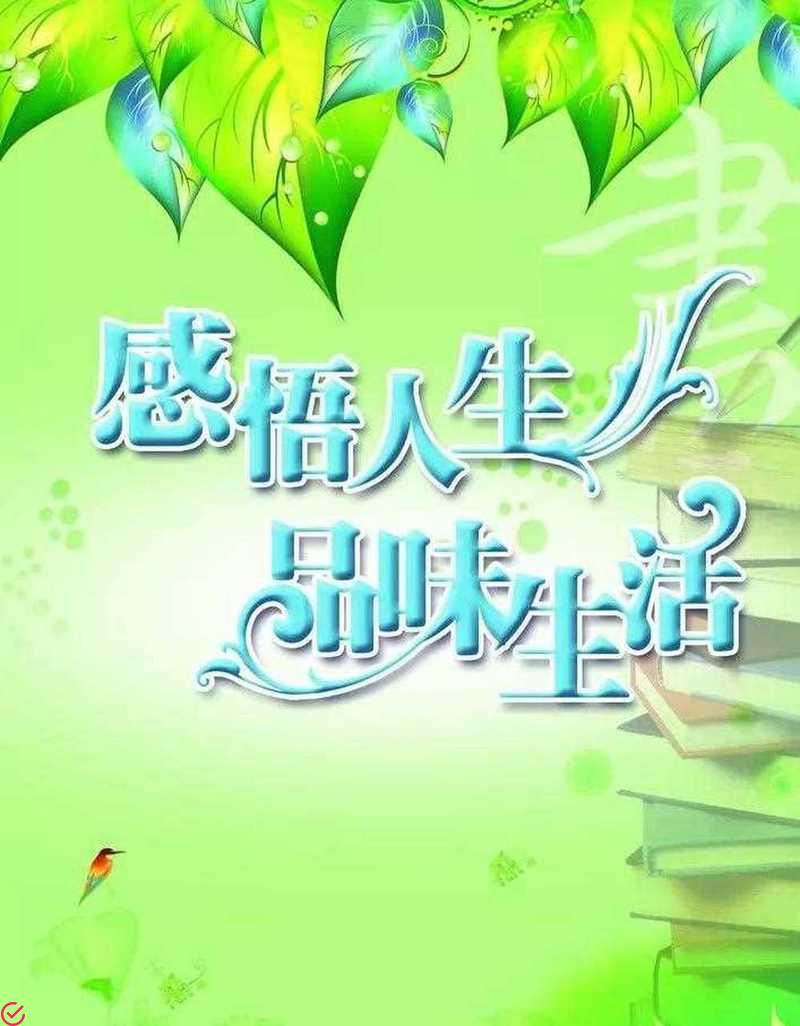 享受高效生活，感受快乐氛围