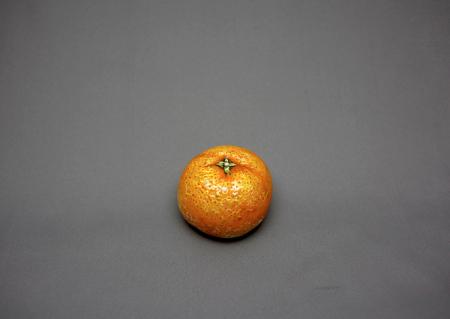 细致绘画改头换面的水果