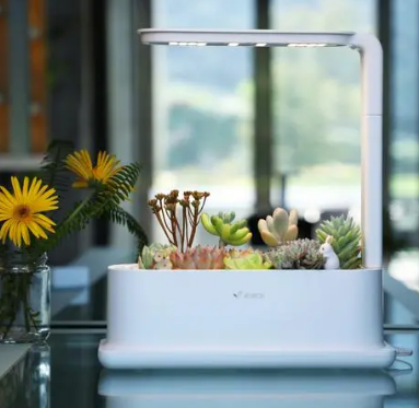 EcoProduce 智能生态种植盆